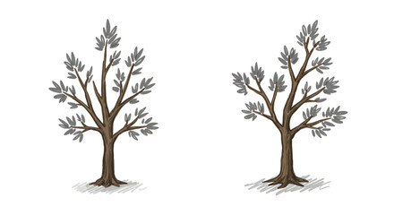 Obraz premium Hand drawn leafy trees with creative artistic branches and roots