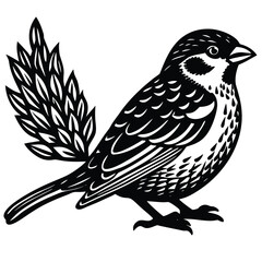 Fototapeta premium bird on a branch
