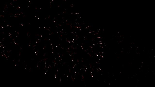 Beautiful colorful fireworks in the black sky, night festive background
