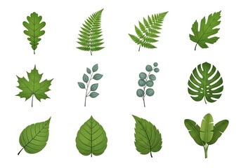 A vibrant collection of diverse green foliage, showcasing various botanical shapes and natural textures, perfect for nature-inspired designs and ecological themes and visual projects