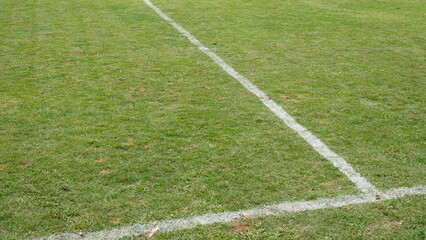 Obraz premium soccer field with white lines