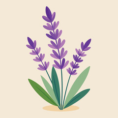 Delicate lavender plant illustration with soft watercolor style and botanical elements