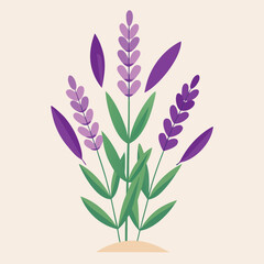 Delicate lavender plant illustration with soft artistic floral elements and a botanical garden feel