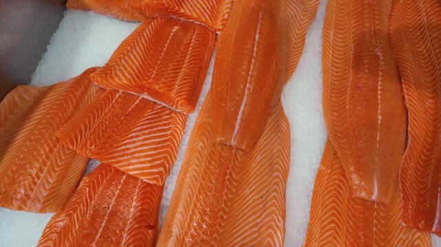 The fresh salmon fillets displayed on a bed of ice in a supermarket.