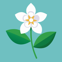 Naklejka premium Simple flat design illustration of a single jasmine flower with delicate petals and a central stamen perfect for botanical themes