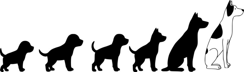 Obraz premium Silhouettes of growing dog outlines illustrating the stages of canine development and growth 