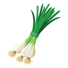 Generative Design Fresh Spring Onion Scallion Vegetable Graphic Art
