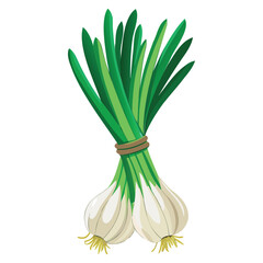 Generative Design Fresh Spring Onion Scallion Vegetable Graphic Art