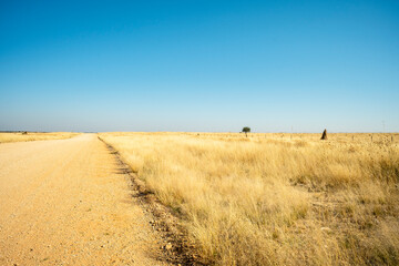 Fototapeta premium Dirt road winding through the savanna of Outjo District, Namibia