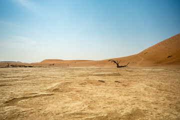 Big Daddy Dune & Deadvlei, Namibia – Towering red dune