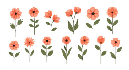 Fototapeta premium A collection of delicate coral-colored flowers on stems.