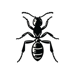 Fototapeta premium black ant silhouette illustration vector