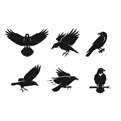 Collection of six black crow silhouettes in various poses, isolated on transparent background