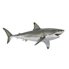 Naklejka premium great white shark isolated on transparent background
