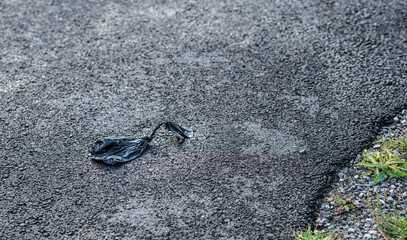 Black plastic bag discarded on asphalt road surface.