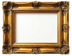 Ornate gold picture frame (6)