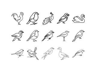 Featherline Birds Outline Vector Icons: Minimal Stroke Bird Illustrations, Sketch Doodles, and Contour Silhouettes for Logos, Stickers, Coloring Pages, Printables, Craft Projects, and Modern Design