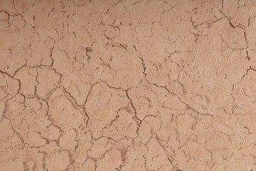 Dry skin presented as double exposure with cracked soil