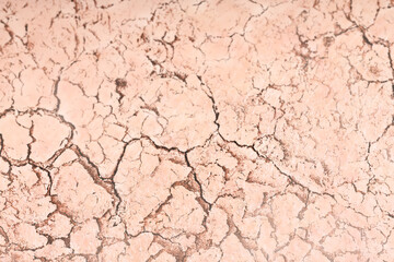Dry skin presented as double exposure with cracked soil