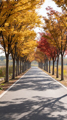 Naklejka premium Autumn Tree Lined Path