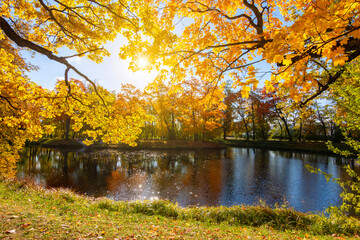 Autumn foliage in Alexander park, Tsarskoe Selo (Pushkin), St. Petersburg, Russia