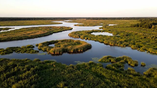 High aerial drone shot slowly reveals intricate patterns within a vast, serene wetland under a soft afternoon sky afternoon, calm, vast