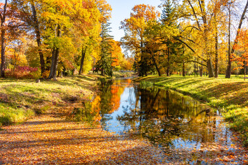 Autumn foliage in Alexander park, Tsarskoe Selo (Pushkin), St. Petersburg, Russia