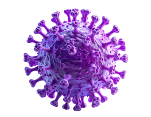 3D model of a virus (1)