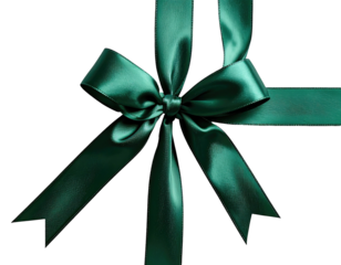 Teal ribbon bow on black background
