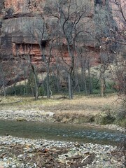 View from Zion canyon trail.