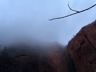 View from Zion canyon trail.