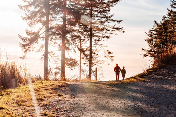 Couple Walks Path Through Autumn Forest at Sunset