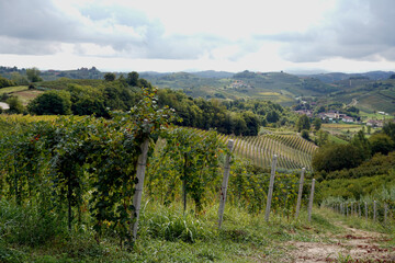 winery in the hills near Marmorito in Piemont