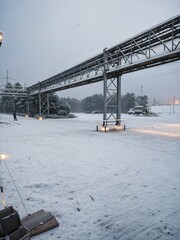 bridge over the river