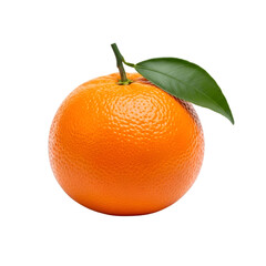 orange on white background