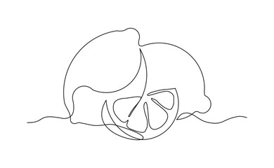 Continuous single line drawing of lemon lime fresh summer fruit sketch editable stroke vector illustration	