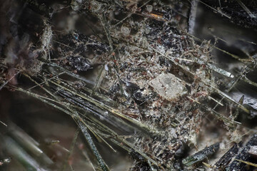 Minerals Aegirine, Analcime, Catapleiite. Mining site- Aikuaivenchor Mountain, Khibiny, Russia. High magnification microphotograph