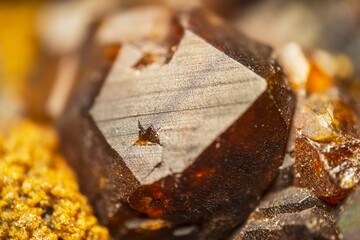 Garnet (andradite, hessanite) crystals. Sinyaya Rechka deposit, Far East, Russia. High magnification microphotograph- photo scale 10X.
