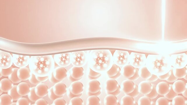 The serum penetrates the skin with wrinkles and rebuilds it.