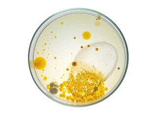 Petri dish with swirling colors and bubbles