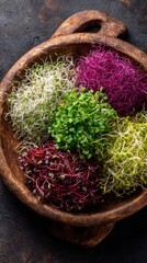 Assortment of colorful fresh sprouts in a wooden bowl on a dark background