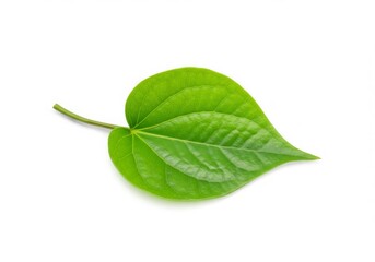 Obraz premium Heart-shaped Betel Leaf Isolated White Background Herbal Plant