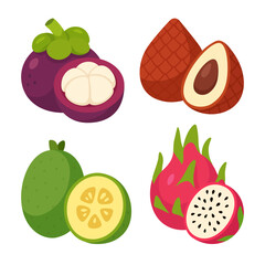 Exotic tropical fruits vector set – salak snake fruit, dragon fruit pitahaya, mangosteen and feijoa – flat colorful illustration for healthy food, packaging, culinary and diet concepts