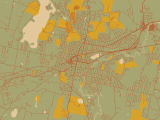 Fototapeta premium Minimalist flat city map of Pittsfield, Massachusetts with sage green ground with rust-red roads and ochre accents.