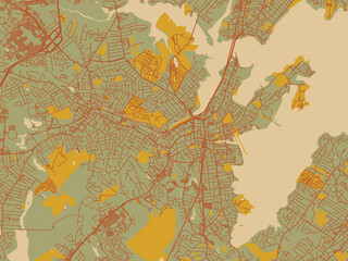 Decorative flat city map of Salem, Massachusetts using sage green ground with rust-red roads and ochre accents.