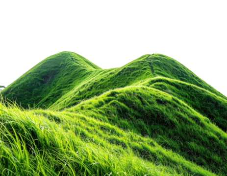Lush green hills rolling gently (2)