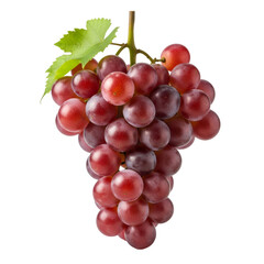 Fototapeta premium Bunch of Red Grapes with Green Leaf on Black Background