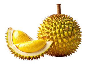Close-up of a durian fruit, partially opened to show the segments