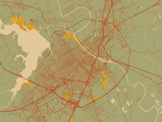 Stylized minimalist map of Waco, Texas in sage/olive tone field with rust networks and ochre shapes, cream water.