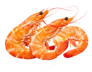 Two cooked prawns on a black background